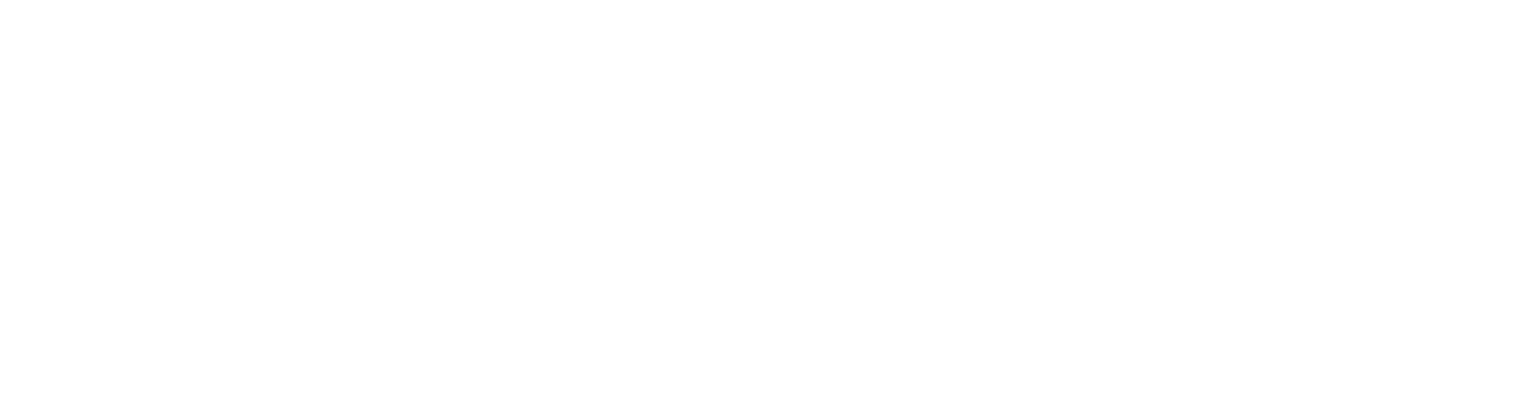 advanced people strategy white